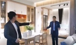 纳维亚最新爆料新闻